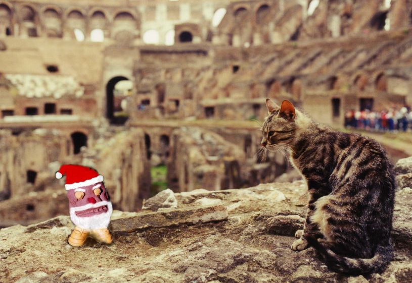 rome cat