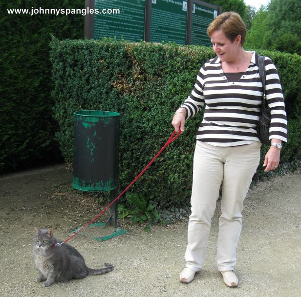 compiegne travel guide armistice clearing cat on a lead www.johnnyspangles.com
