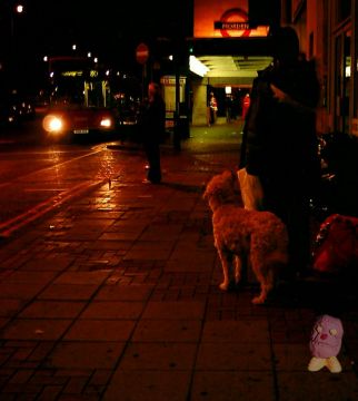 morden travel guide 2 www.johnnyspangles.com