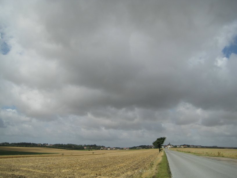 field of the cloth of gold guines